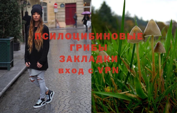 крисы Абаза