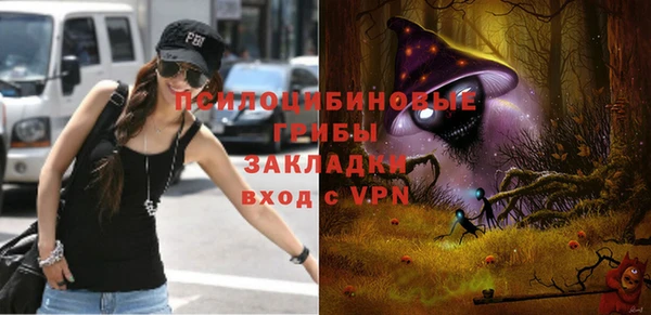 крисы Абаза