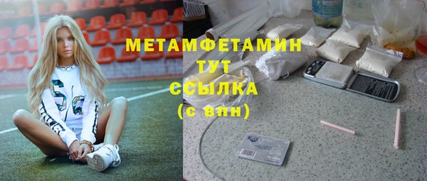 крисы Абаза