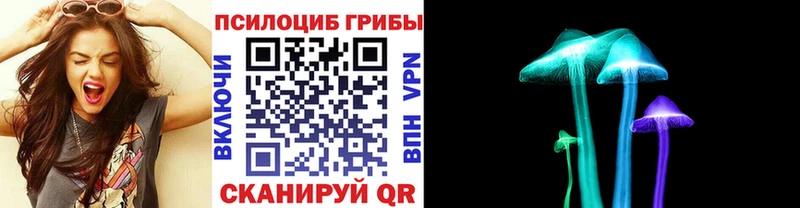 Псилоцибиновые грибы Psilocybine cubensis  Камышлов 