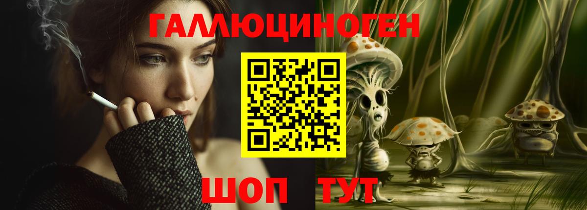 Псилоцибиновые грибы GOLDEN TEACHER  Вход с VPN  наркотики  Галлюциногенные грибы мицелий  Камышлов 
